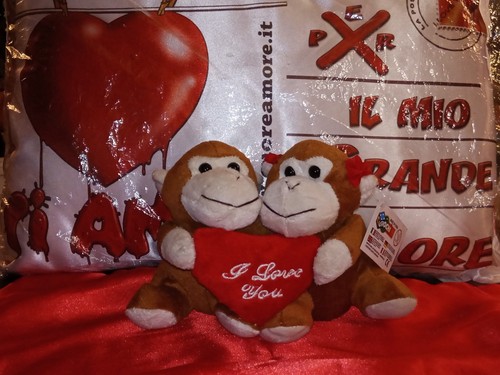 Coppia peluche san valentino - san,