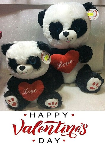 San valentino amore love - valentino, panda