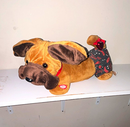 Peluche cane marrone parlante