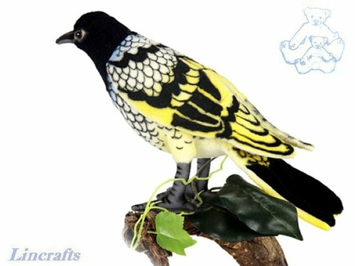 Hansa regent honey eater - honey,