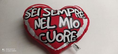 Cuscino cuore sei - cuore,